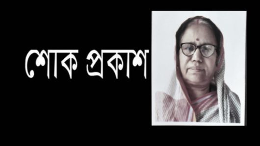 সাংবাদিক দেবাশীষ দেবুর মায়ের মৃত্যুতে প্রতিমন্ত্রী শফিক চৌধুরী’র শোক