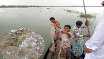 গোয়াইনঘাটে হাওর অঞ্চলে দেশীয় প্রজাতির মাছ রক্ষায় মৎস্য দপ্তরের উদ্যোগে অভিযান পরিচলনা