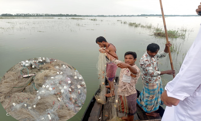 গোয়াইনঘাটে হাওর অঞ্চলে দেশীয় প্রজাতির মাছ রক্ষায় মৎস্য দপ্তরের উদ্যোগে অভিযান পরিচলনা