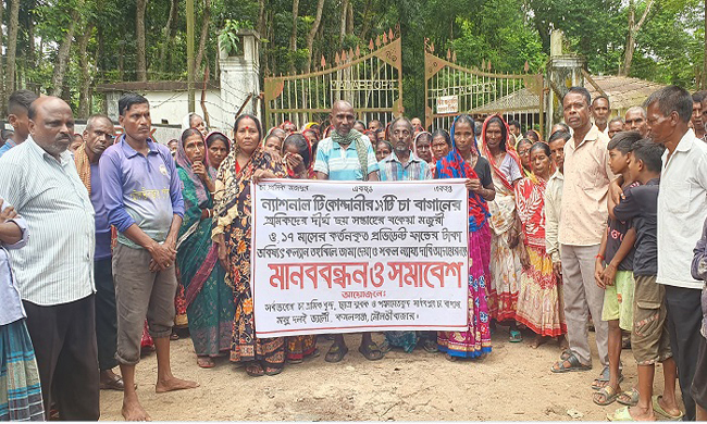 বকেয়া মজুরি পরিশোধের দাবিতে চা শ্রমিকদের কর্মবিরতি