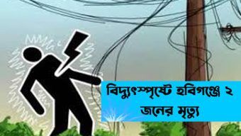 হবিগঞ্জে বিদ্যুতের তারে জড়িয়ে প্রাণ গেলো দুজনের