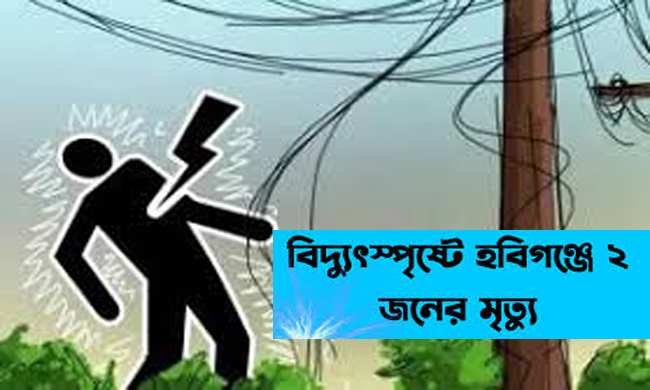 হবিগঞ্জে বিদ্যুতের তারে জড়িয়ে প্রাণ গেলো দুজনের