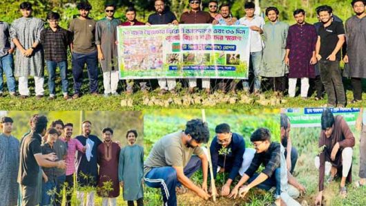 শাবিপ্রবি’র জিয়া ট্রি উদ্যানে জুলাই বিপ্লবে শহীদদের স্মরণে বৃক্ষ রোপণ