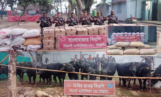 সিলেটে সীমান্তে প্রায় দেড় কোটি টাকার চোরাই পণ্য জব্দ