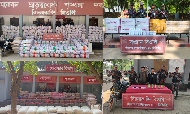 ভারতীয় চোরাচালানের ৯৭ লক্ষাধিক টাকার মালামাল জব্দ করেছে বিজিবি