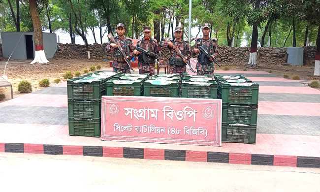 সীমান্তে ২ কোটি ৭ লক্ষাধিক টাকার চোরাচালান আটক