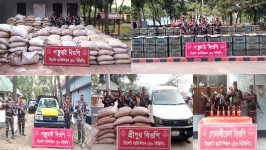 সিলেট সীমান্তে ৯৩ লক্ষাধিক টাকার ভারতীয় চোরাচালান আটক করেছে বিজিবি