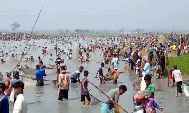 সুনামগঞ্জে আরও চার বিলের মাছ লুট
