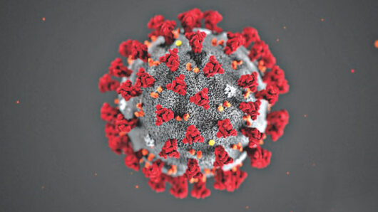 দেশে আরও ১৩ জন করোনায় আক্রান্ত