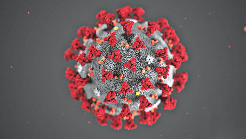 দেশে আরও ১৩ জন করোনায় আক্রান্ত