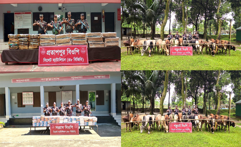 সীমান্তে অভিযানে চালিয়ে ফের ১ কোটি ২০ লক্ষাধিক টাকার চোরাই পণ্য আটক করেছে বিজিবি