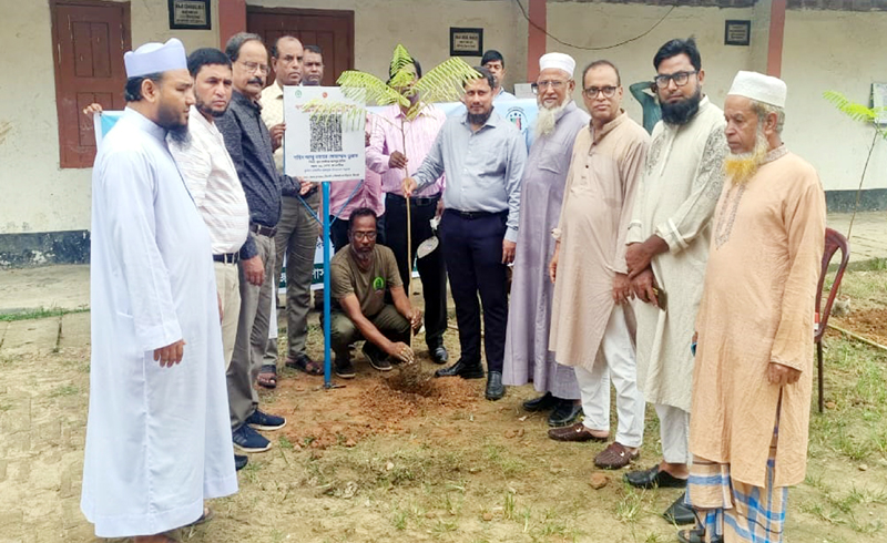 সরকারি উদ্যোগে সিলেটে গণঅভ্যুত্থানে শহিদ ১৪ জনের নামে বৃক্ষরোপণ