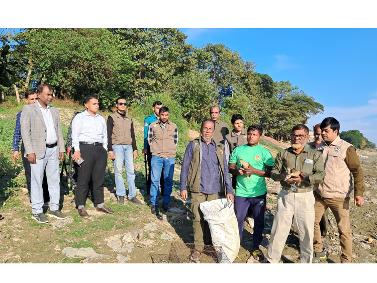 সিলেটের চন্ডিপুলে বস্তাবন্দী ৫৬টি পাখি উদ্ধার পরে আকাশে অবমুক্ত