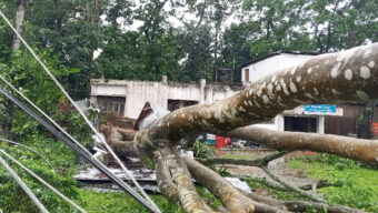 কমলগঞ্জে ঝড়ে লণ্ডভণ্ড বিদ্যুৎব্যবস্থা: ১৭ খুঁটি ও অর্ধশতাধিক ঘর ক্ষতিগ্রস্ত