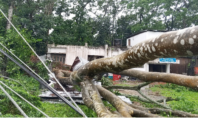 কমলগঞ্জে ঝড়ে লণ্ডভণ্ড বিদ্যুৎব্যবস্থা: ১৭ খুঁটি ও অর্ধশতাধিক ঘর ক্ষতিগ্রস্ত