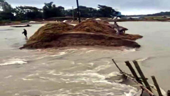 পাহাড়ি ঢলে বাঁধ ভেঙে পানি ঢুকছে সুনামগঞ্জের এরনবিল হাওরে