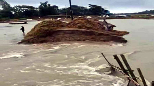 পাহাড়ি ঢলে বাঁধ ভেঙে পানি ঢুকছে সুনামগঞ্জের এরনবিল হাওরে