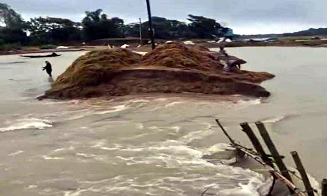 পাহাড়ি ঢলে বাঁধ ভেঙে পানি ঢুকছে সুনামগঞ্জের এরনবিল হাওরে