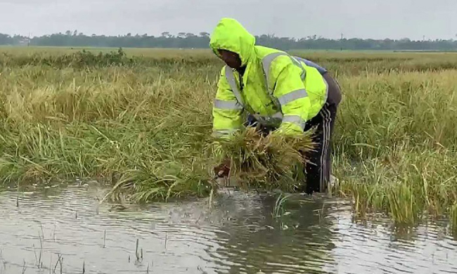 বিপৎসীমার ওপরে জুড়ী নদীর পানি, বাড়ছে হাওরের পানিও