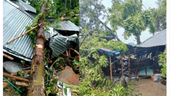 জামালপুরে কালবৈশাখীর তাণ্ডব, গাছচাপায় মা ও ২ মেয়ের মৃত্যু