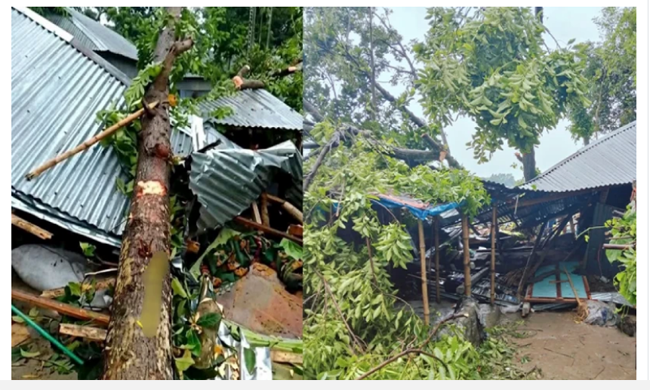 জামালপুরে কালবৈশাখীর তাণ্ডব, গাছচাপায় মা ও ২ মেয়ের মৃত্যু