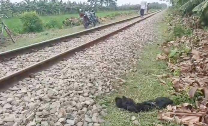 সিলেটে রেললাইন থেকে নারীর মরদেহ উদ্ধার