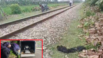 সিলেটে রেললাইন থেকে নারীর মরদেহ উদ্ধার