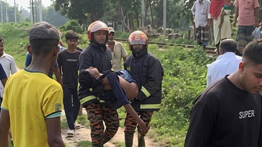 চলন্ত ট্রেনের ছাদে ভ্রমণ, গাছের ডালে ধাক্কা লেগে গুরুতর আহত ২