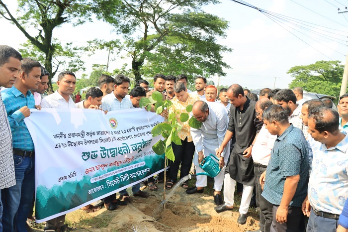 সিলেট নগরে ৫০ হাজার বৃক্ষরোপণের পরিকল্পনা : সিলেটে বৃক্ষরোপণ কর্মসূচির উদ্বোধন