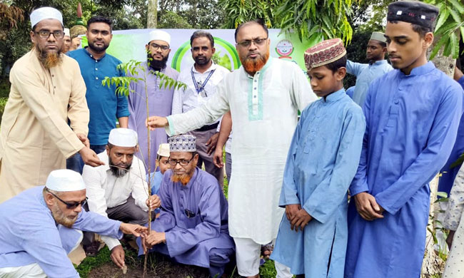 ইসলামী সমাজকল্যাণ পরিষদ ওসমানীনগরের বৃক্ষরোপণ অভিযান