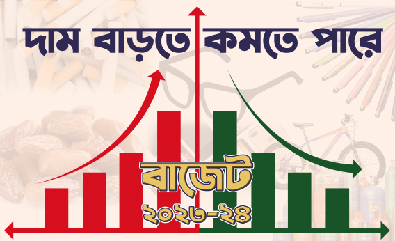 এই বাজেটে দাম বাড়তে পারে ও কমতে পারে যেসব পণ্যের
