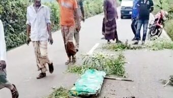 বিয়ানীবাজারে বাস-অটোরিকশা সংঘর্ষে নিহত ১
