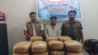 মাধবপুরে ডিবির অভিযান: ২৮ কেজি গাঁজা ও মাইক্রোবাসসহ মাদক কারবারি গ্রেপ্তার