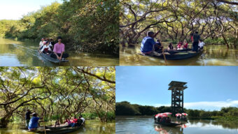 রাতারগুলে ব্যবস্থাপনায় ঘাটতি-ঝুঁকিপূর্ণ ওয়াচ টাওয়ার, যানজটে নাকাল পর্যটক