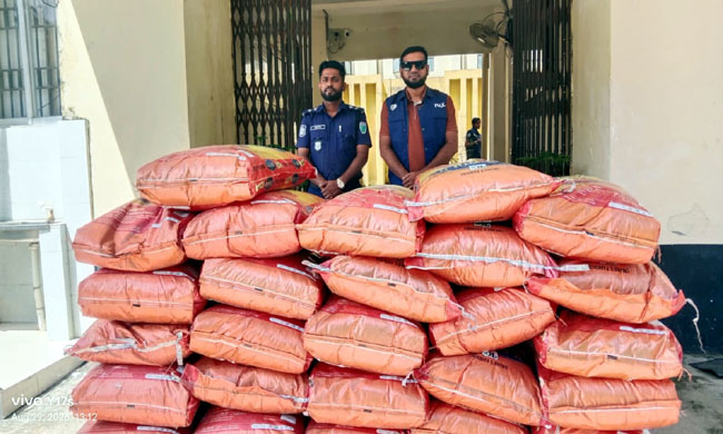গোয়াইনঘাটে ৯ লাখ টাকার ভারতীয় জিরা জব্দ
