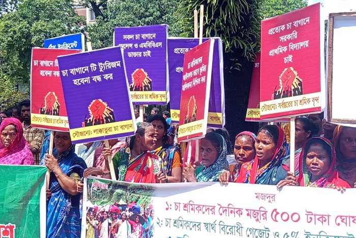 সিলেটে চারদফা দাবিতে চা শ্রমিকদের বিক্ষোভ, ১৫ দিনের আল্টিমেটাম