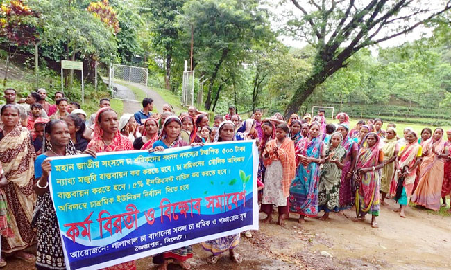 সিলেটে চা শ্রমিকদের ৫০০টাকা মজুরিসহ ৪ দাবিতে কর্মবিরতি