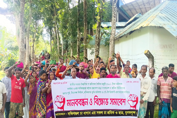 মজুরি বাড়ানোসহ ৫ দফা দাবিতে বড়লেখায় চা শ্রমিকদের কর্মবিরতি ও বিক্ষোভ