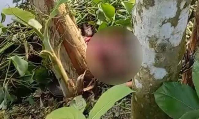 হবিগঞ্জে বড় ভাইয়ের ছুরিকাঘাতে ছোট বোন নিহত