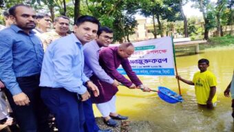 মৎস্য উৎপাদনের মাধ্যমে গোলাপগঞ্জ ও বিয়ানীবাজারকে সমৃদ্ধ করার সুযোগ রয়েছে-এমপি এমরান আহমদ চৌধুরী