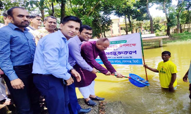 মৎস্য উৎপাদনের মাধ্যমে গোলাপগঞ্জ ও বিয়ানীবাজারকে সমৃদ্ধ করার সুযোগ রয়েছে-এমপি এমরান আহমদ চৌধুরী