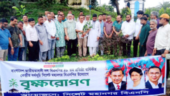 সিলেট মহানগর বিএনপির বৃক্ষরোপণ কর্মসূচি