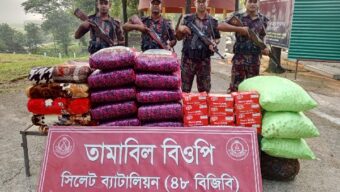 সিলেট সীমান্তে ৪৬ লাখ টাকার চোরাই ভারতীয় পণ্য জব্দ